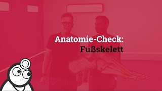 AnatomieCheck Das Fußskelett [upl. by Retsam]