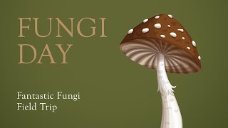 Fungi Day Fantastic Fungi Field Trip [upl. by Marlie824]