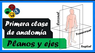 PRIMERA clase de ANATOMIA  PLANOS Y EJES anatómicos [upl. by Lauter]