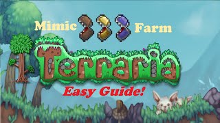 Terraria  Mimic Farm  A Beginners Guide to Easy Efficient AFK Mimic amp Platinum coin farming [upl. by Billat]