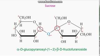 Identifying anomeric carbons in sugars [upl. by Nnaxor]