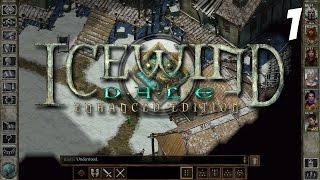 Lets Play Icewind Dale Enhanced Edition Gameplay 1  Hrothgar  Playthrough Walkthrough PC HD [upl. by Acisej850]