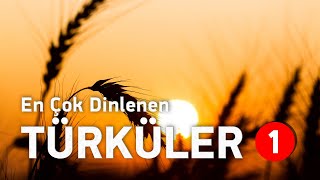 En Çok Dinlenen Türküler  Editörün Özel Seçimi  Bölüm 1 elapro  Türkü Listesi [upl. by Verne]