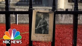 Armistice Day London Poppies Honor WWI Soldiers  NBC News [upl. by Relyat]