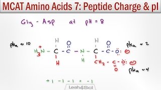 How to Calculate Peptide Charge and Isoelectric Point MCAT Trick [upl. by Marek]