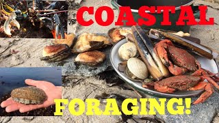 Coastal Foraging  Cook Up On The Beach  Ormers  Abalone  Lobster  Clams and More [upl. by Lebasiram]