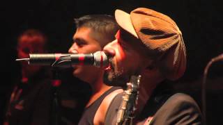 Shantel amp The Bucovina Club Orkestar Live  Disko Partizani  Sziget 2012 [upl. by Hitt]