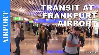 TRANSIT WALK AT FRANKFURT Airport FRA Terminal 1  Connection Flight Transfer Arriving amp Departing [upl. by Hedwig]