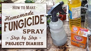 ★ How to Make Cheap Homemade Fungicide Complete Step by Step Guide [upl. by Pauline]