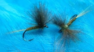 Tying an Olive CDC Dun DryFly with Davie McPhail [upl. by Oeht]