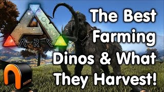 Ark Farming Dinos and What They Harvest [upl. by Surat]