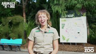 Virtual Tour of Melbourne Zoo [upl. by Illil]