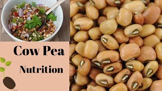 Cowpea Blackeyed bean nutrition  salad recipe cowpea [upl. by Burroughs]