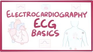 Electrocardiography ECGEKG  basics [upl. by Layor]