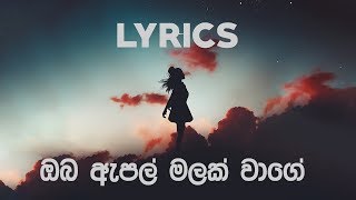 ඔබ ඇපල් මලක් වාගේ  Oba Apple malak wage  Amarasiri Peiris  LYRICS [upl. by Anyal201]