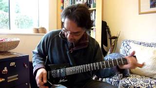 Steinberger Spirit GTPro Guitar Demo [upl. by Avehstab784]