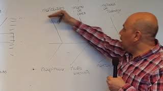 DIAGRAMA DE ISHIKAWA [upl. by Talich]