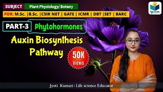 AUXIN BIOSYNTHESIS  PHYTOHORMONE PART3 CSIR NET PLANT BIOLOGY [upl. by Grail]