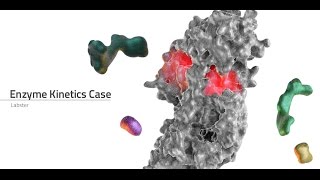 Labster Virtual Lab Enzyme Kinetics Simulation [upl. by Narruc]