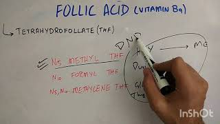 biochem of vitamin B 9 [upl. by Pasol]