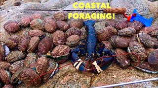 Amazing COASTAL FORAGING Day  Abalone amp Lobsters  Abalone Burgers on a bunker [upl. by Haslett]