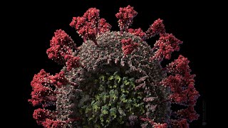 3D model of the SARSCoV2 virus at atomic resolution [upl. by Anahtor809]