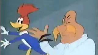 The New Woody Woodpecker Show close 1987 [upl. by Shirlene]