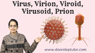 Virus Virion Viroid Virusoid Prion Know the Difference DNA  RNA  Replication  Diseases [upl. by Lorna]