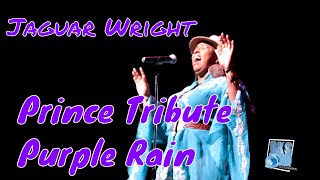 Jaguar Wright Powerful live performance of quotPurple Rainquot Prince Tribute [upl. by Ettari]