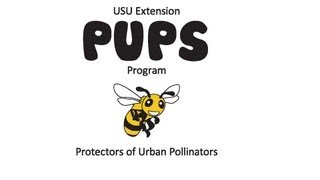 PUPS Types of Pollinators [upl. by Ludba926]