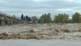 Il Piave in piena 30 Ottobre 2018 [upl. by Cadman]