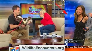 Funniest TV News Bloopers of 2021 [upl. by Ranique]