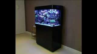 Red Sea MAX 250 ultimate allinone Plug amp Play coral reef aquarium System [upl. by Akerdal]