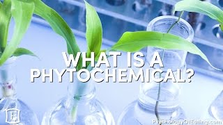 What is a Phytochemical  with Marc David [upl. by Otreblig]