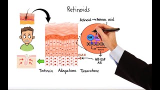 Pharmacology  ACNE TREATMENTS MADE EASY [upl. by Sophi]